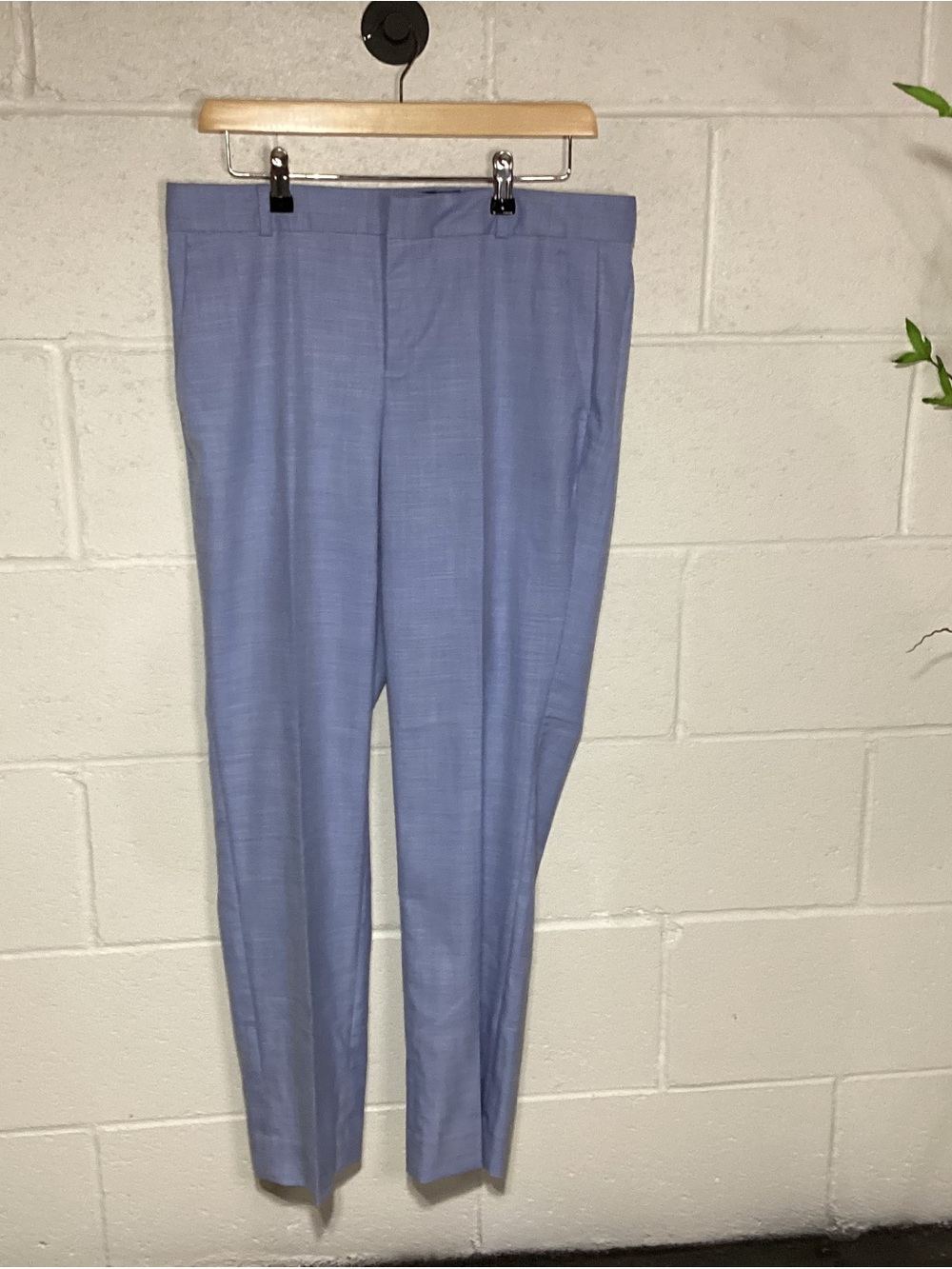 Banana Republic Women’s Light Blue Dress Pants